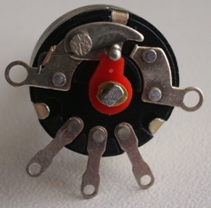 IMGP4040.JPG