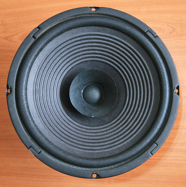 Voice-f.jpg