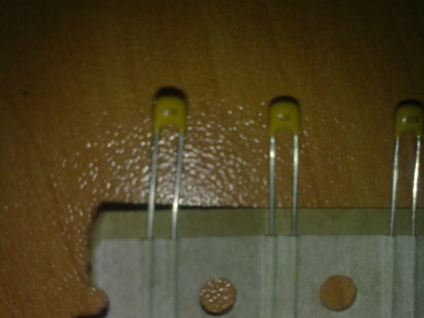 06082010025.jpg