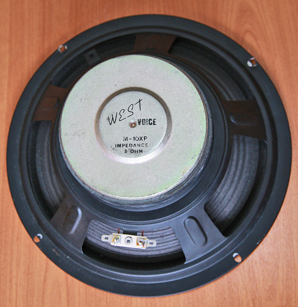 voice-r.jpg